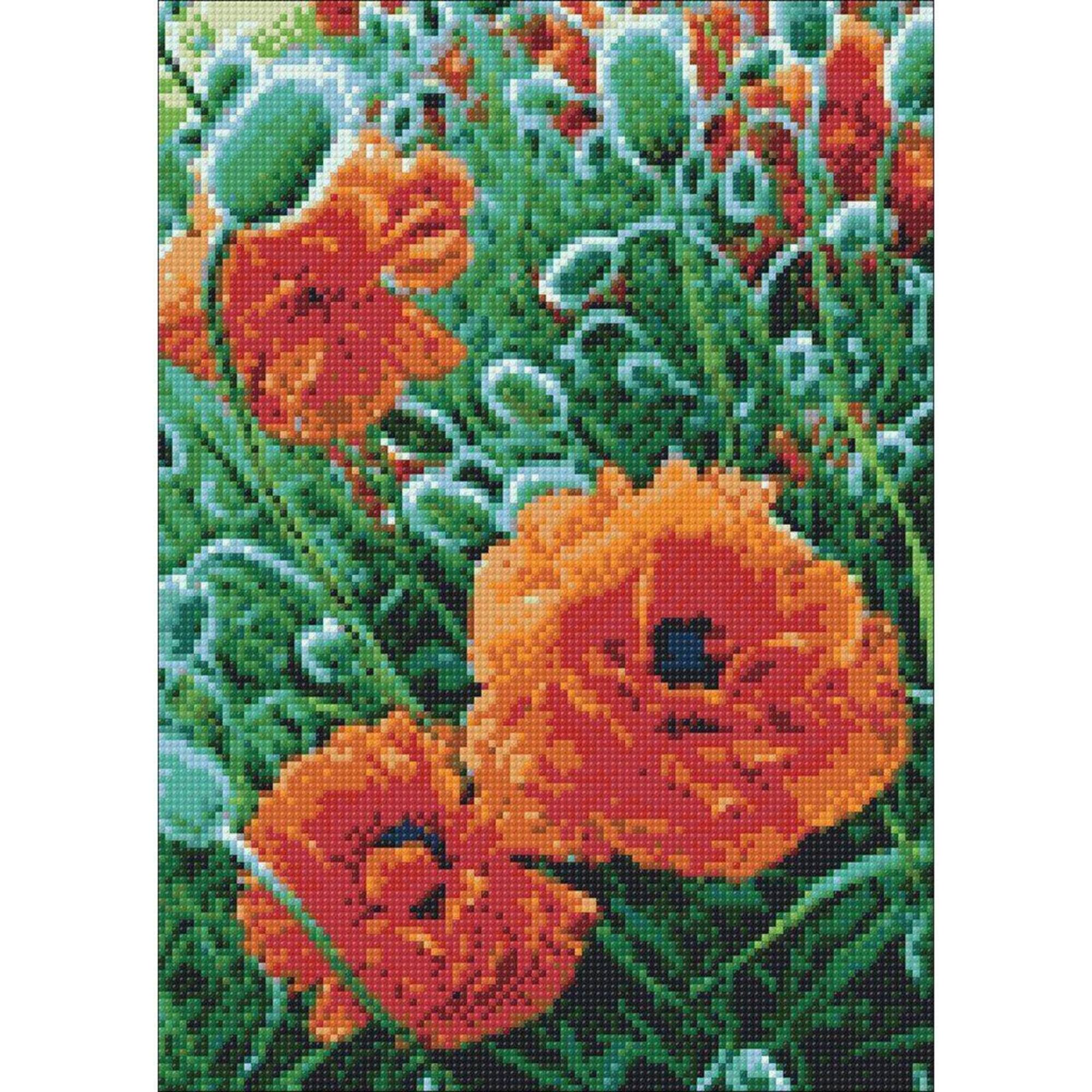 Wizardi Poppie Field Diamond Painting Kit